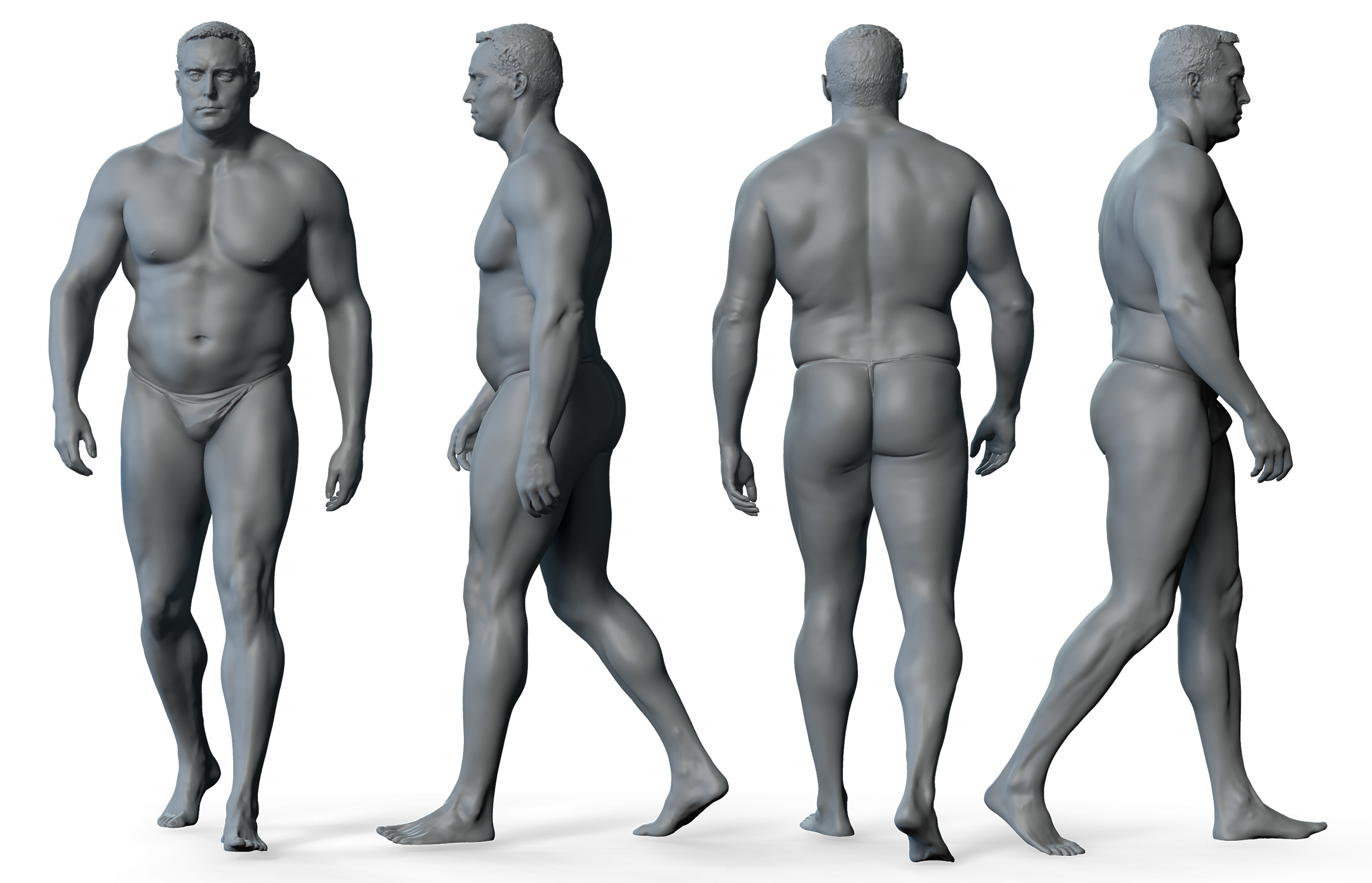3D male anatomy reference 3d model download